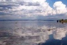 Essence Kunming, Stone Forest & Dragon Gate Tour